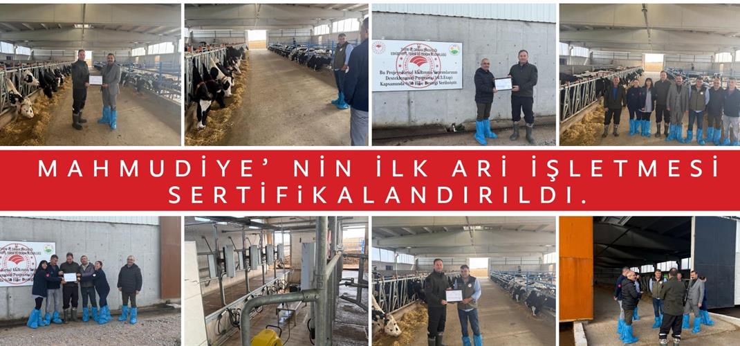 MAHMUDİYE’ NİN İLK ARİ İŞLETMESİ SERTİFiKALANDIRILDI