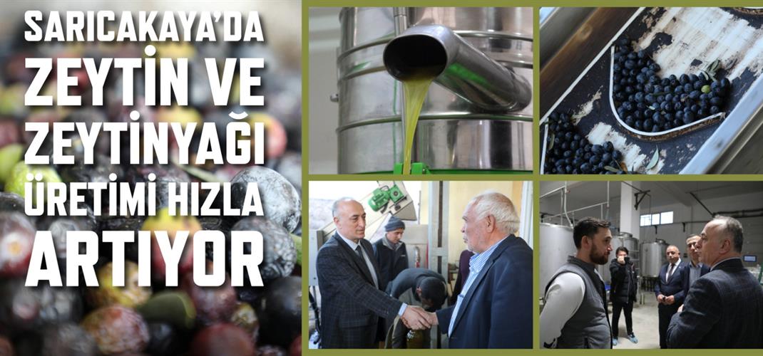 SARICAKAYA’DA ZEYTİN  VE ZEYTİNYAĞI ÜRETİMİ HIZLA ARTIYOR