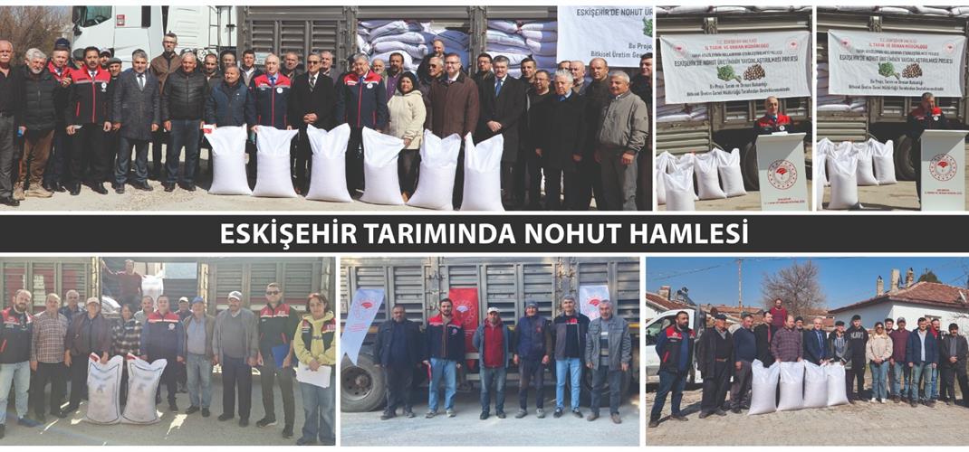 ESKİŞEHİR TARIMINDA NOHUT HAMLESİ