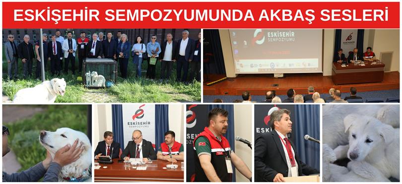 ESKİŞEHİR SEMPOZYUMUNDA AKBAŞ SESLERİ