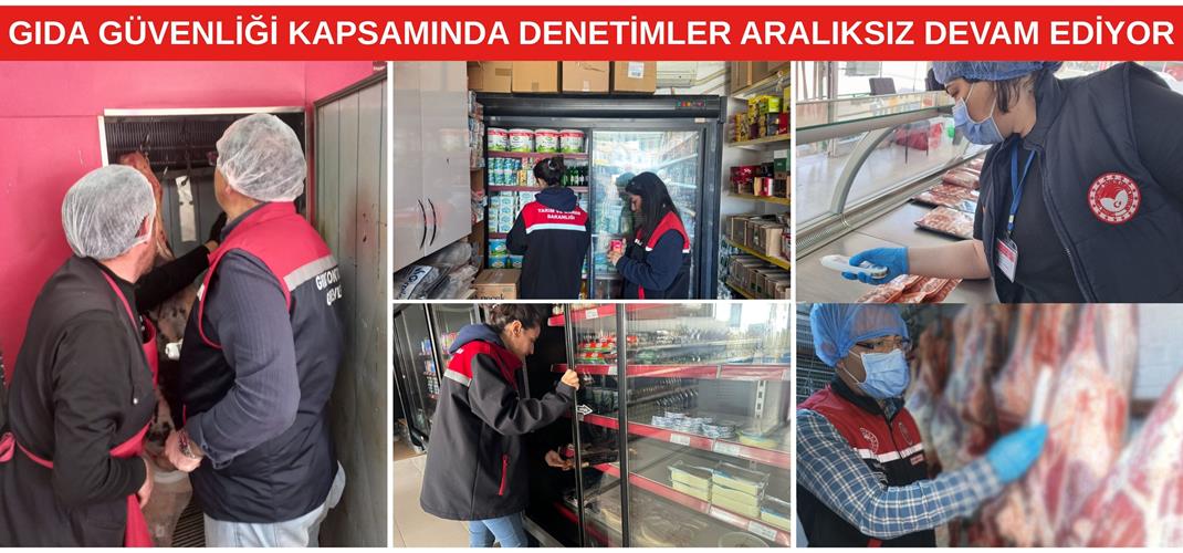 GIDA GÜVENİLİRLİĞİ KAPSAMINDA DENETİMLER ARALIKSIZ DEVAM EDİYOR