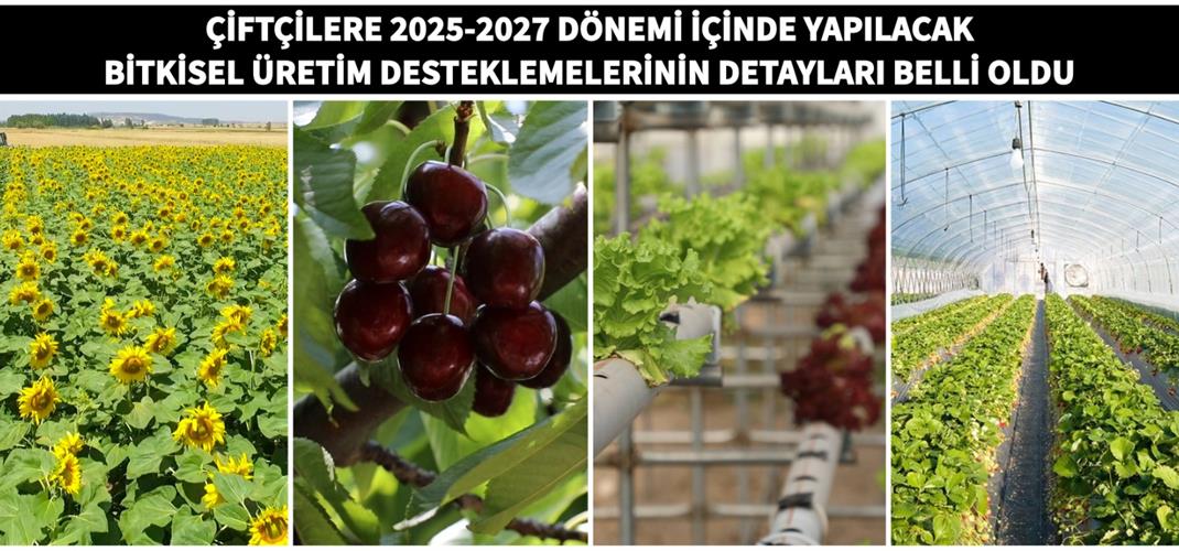 ÇİFTÇİLERE 2025-2027 DÖNEMİ İÇİNDE YAPILACAK BİTKİSEL ÜRETİM DESTEKLEMELERİNİN DETAYLARI BELLİ OLDU