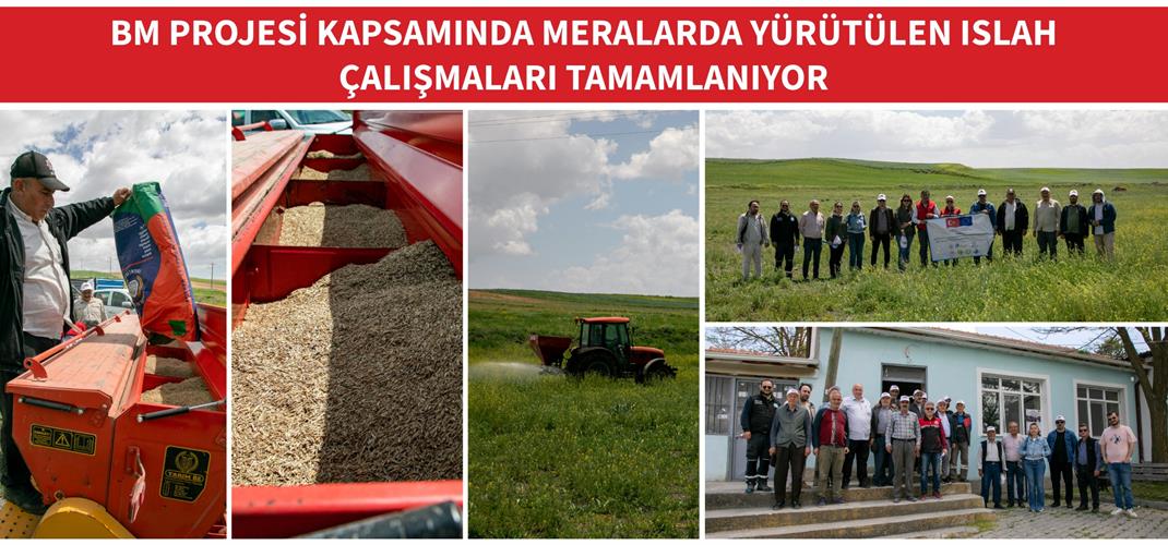 BM PROJESİ KAPSAMINDA MERALARDA YÜRÜTÜLEN ISLAH ÇALIŞMALARI TAMAMLANIYOR