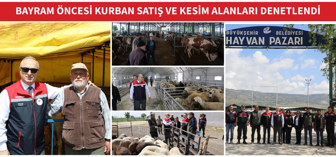 BAYRAM ÖNCESİ KURBAN SATIŞ VE KESİM ALANLARI DENETLENDİ