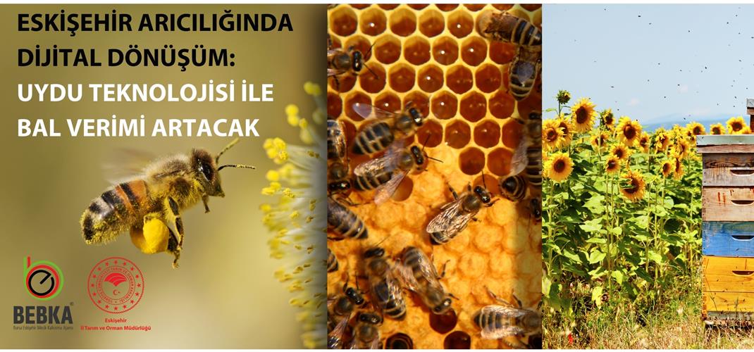 ESKİŞEHİR ARICILIĞINDA DİJİTAL DÖNÜŞÜM: UYDU TEKNOLOJİSİ İLE BAL VERİMİ ARTACAK