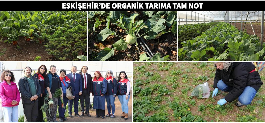 ESKİŞEHİR’DE ORGANİK TARIMA TAM NOT