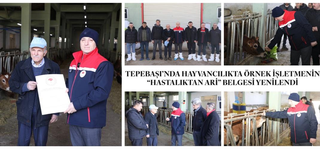 TEPEBAŞI’NDA HAYVANCILIKTA ÖRNEK İŞLETMENİN “HASTALIKTAN ARİ” BELGESİ YENİLENDİ